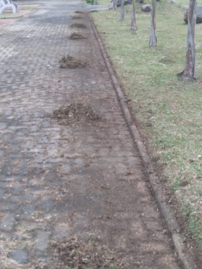 obras01 07 001